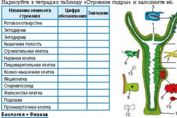 Как зарегистрироваться на кракене маркетплейс