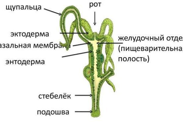 Ссылки мега кракен