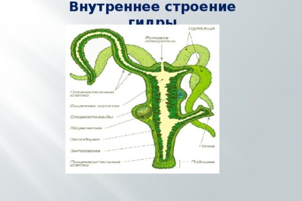 Кракен переход