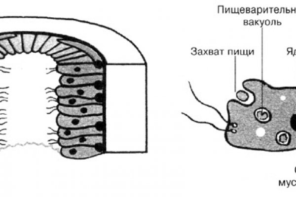 Кракен даркнет купить